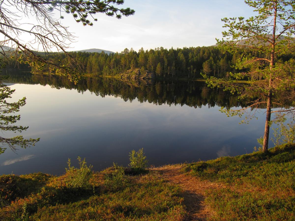 Malangen Lodge Mestervik Exterior photo