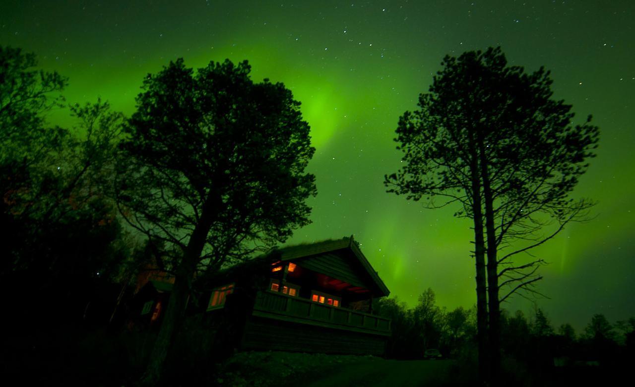Malangen Lodge Mestervik Exterior photo