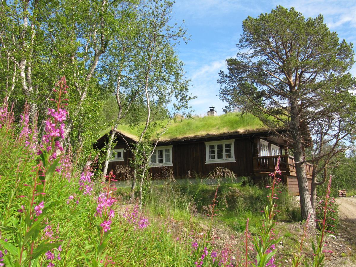 Malangen Lodge Mestervik Exterior photo